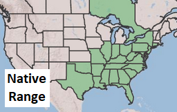 Placeholder Picture