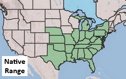 Placeholder Picture