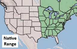 Placeholder Picture