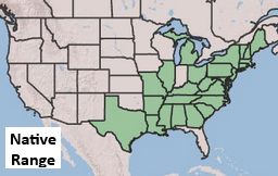 Placeholder Picture