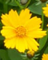 Placeholder Picture